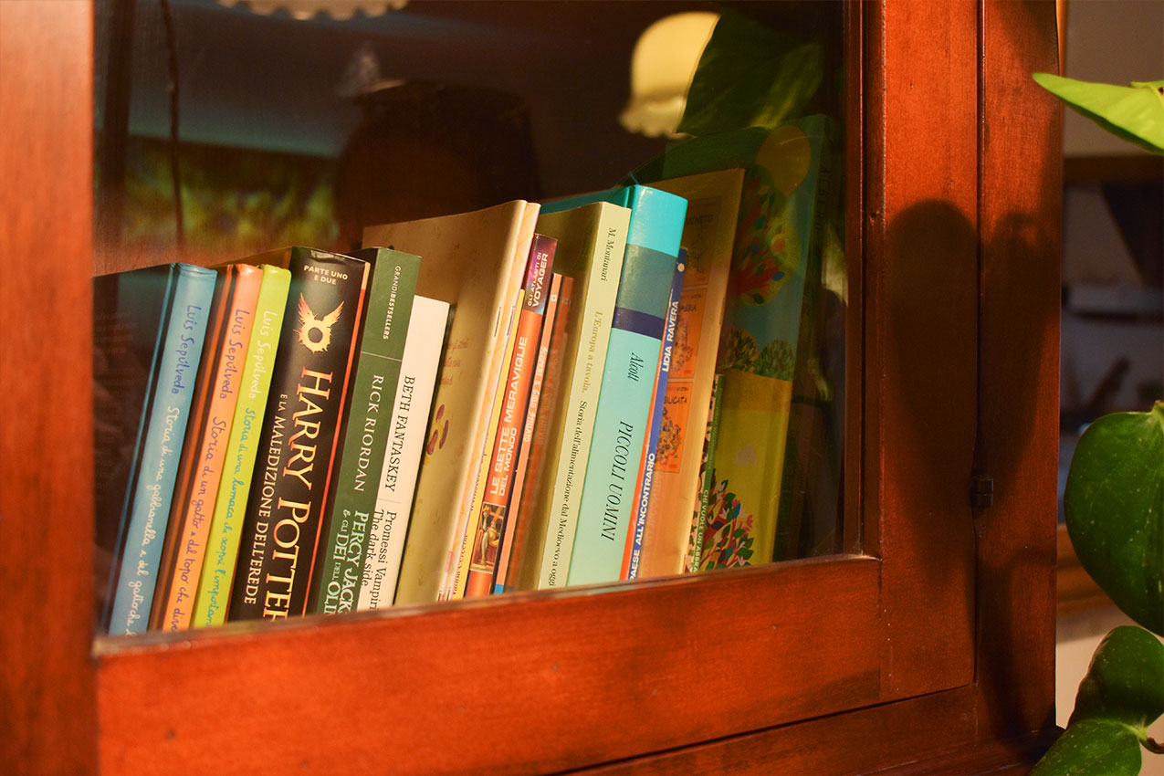 salotto-domus-aromatica-affittacamere-assisi-libreria